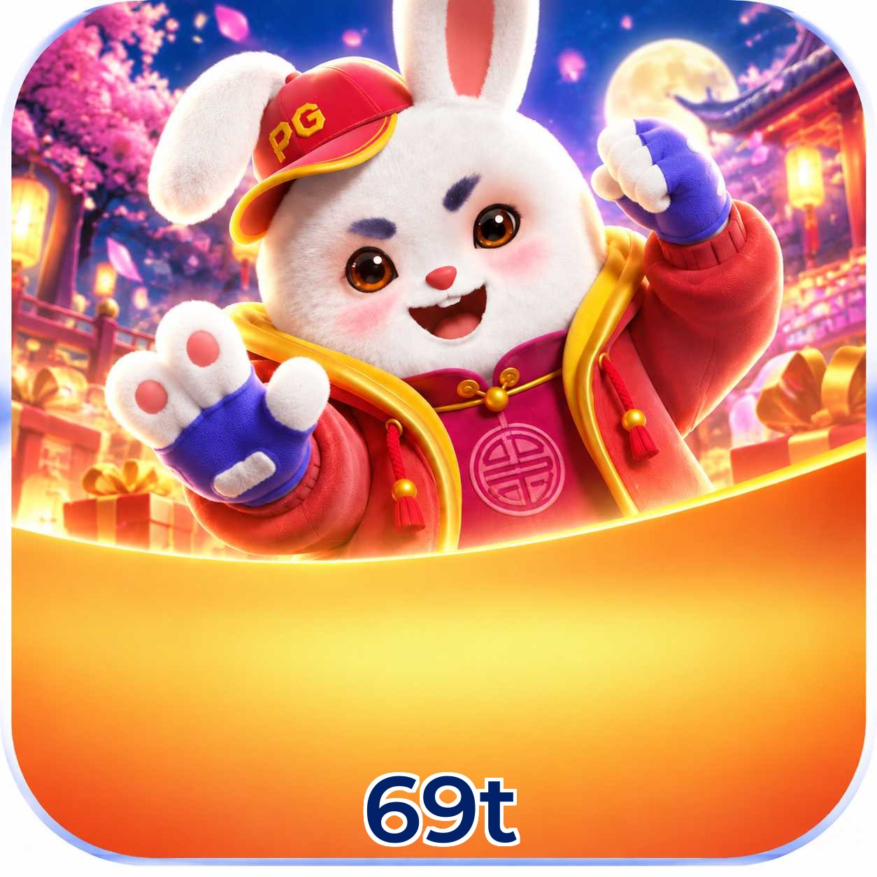 69t FAQ